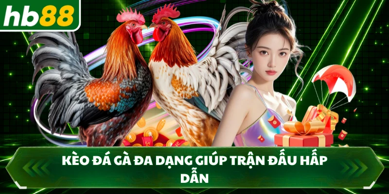 Kèo đá gà đa dạng giúp trận đấu hấp dẫn